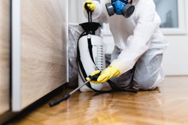 Best Best Pest Control Companies  in San Benito, TX