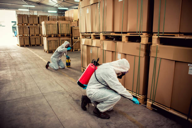 Best Residential Pest Control  in San Benito, TX