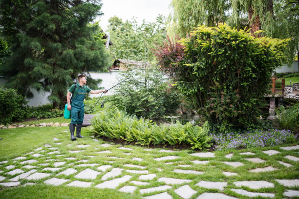 Best Pest Prevention Services  in San Benito, TX