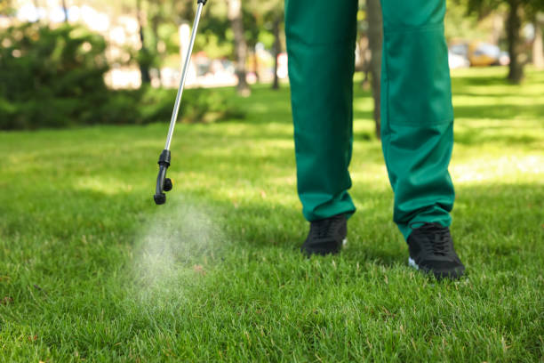 Best Affordable Pest Control Services  in San Benito, TX