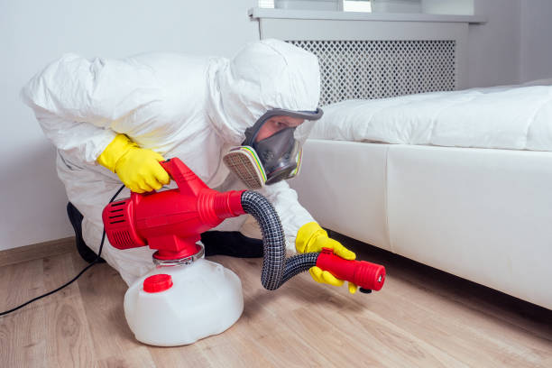 Best Emergency Pest Control  in San Benito, TX