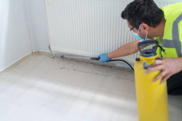 Best Best Pest Control Companies  in San Benito, TX